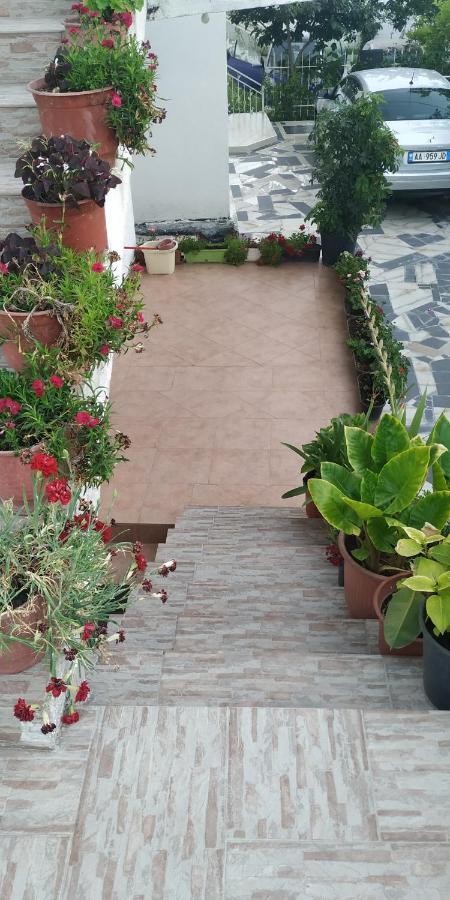 Spacious House With A Big Garden And Fire Pit Villa Tirana Kültér fotó