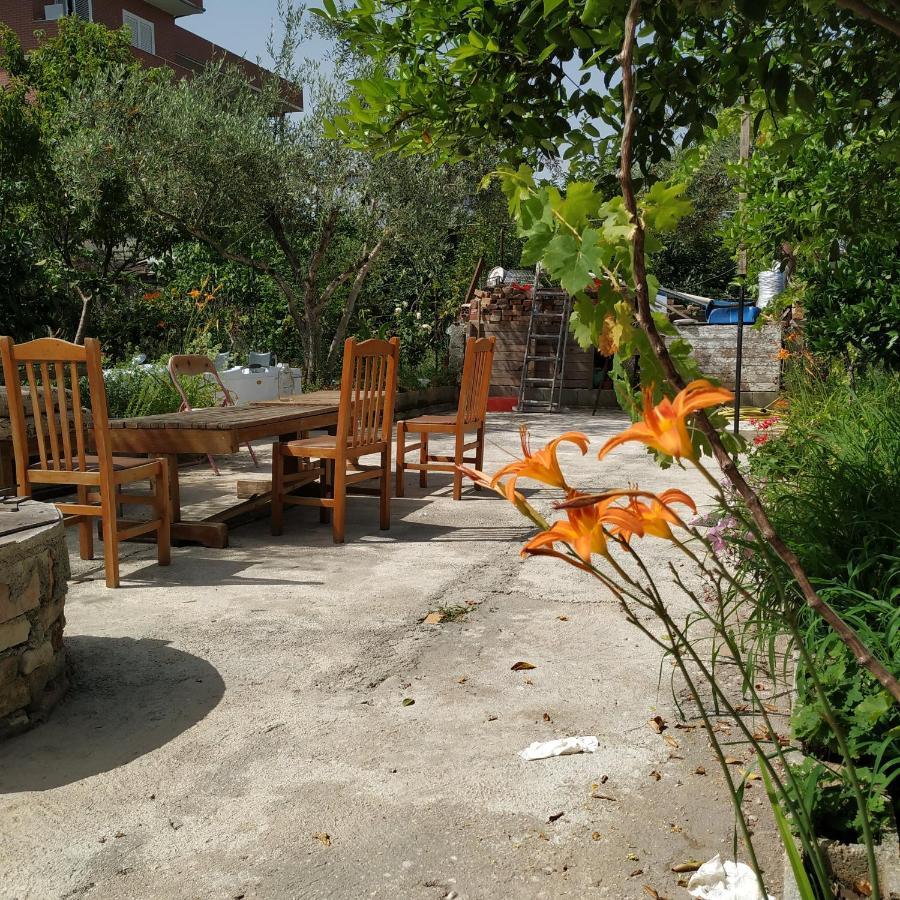 Spacious House With A Big Garden And Fire Pit Villa Tirana Kültér fotó