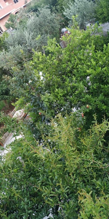Spacious House With A Big Garden And Fire Pit Villa Tirana Kültér fotó
