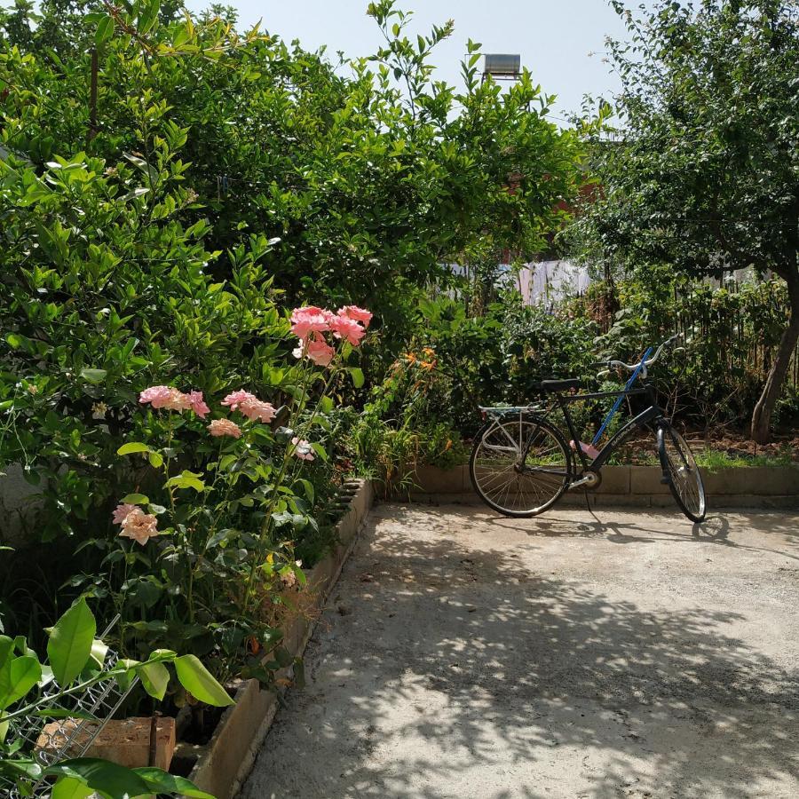 Spacious House With A Big Garden And Fire Pit Villa Tirana Kültér fotó